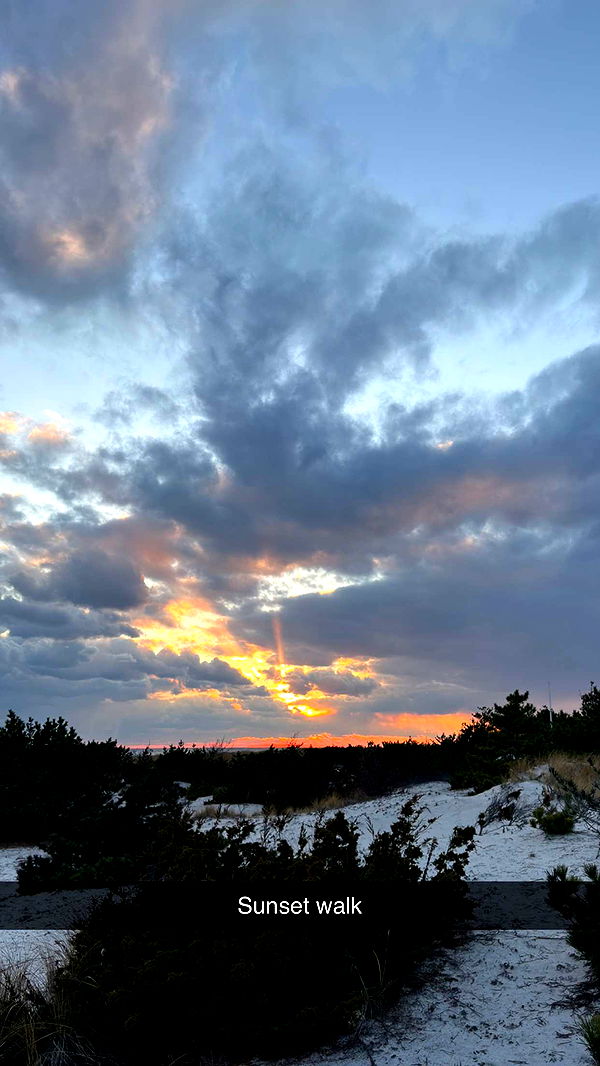 emelye.ender image ~ Altpins