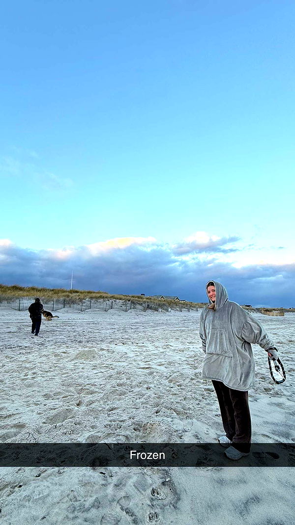 emelye.ender image ~ Altpins