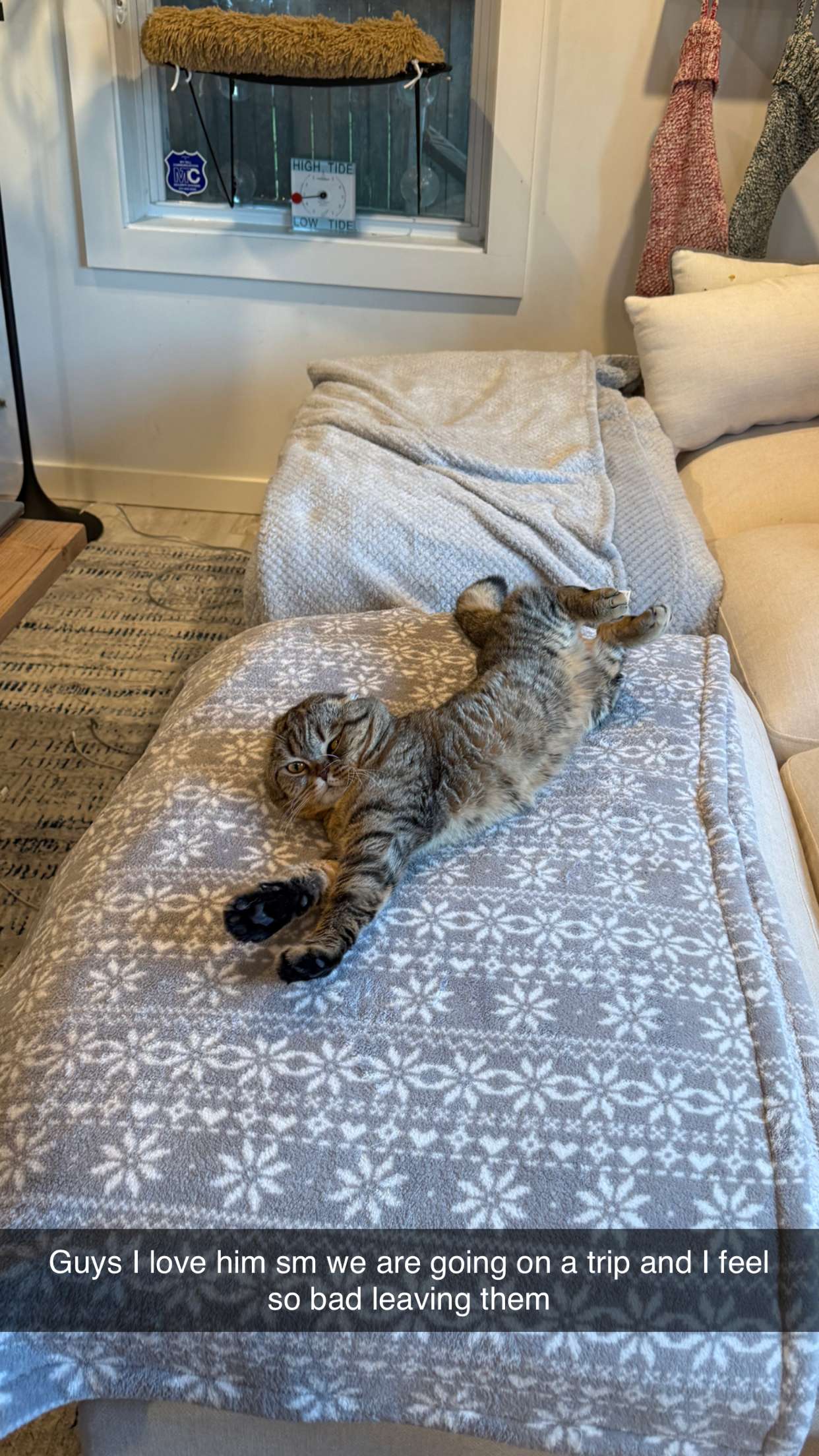 emelye.ender snapchat image archive image