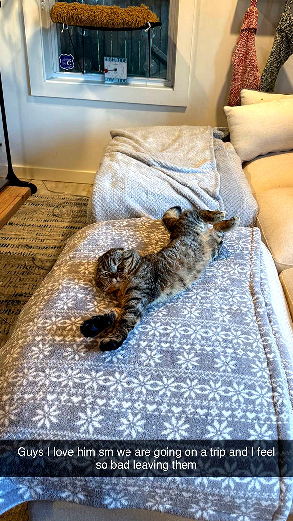 emelye.ender image ~ Altpins