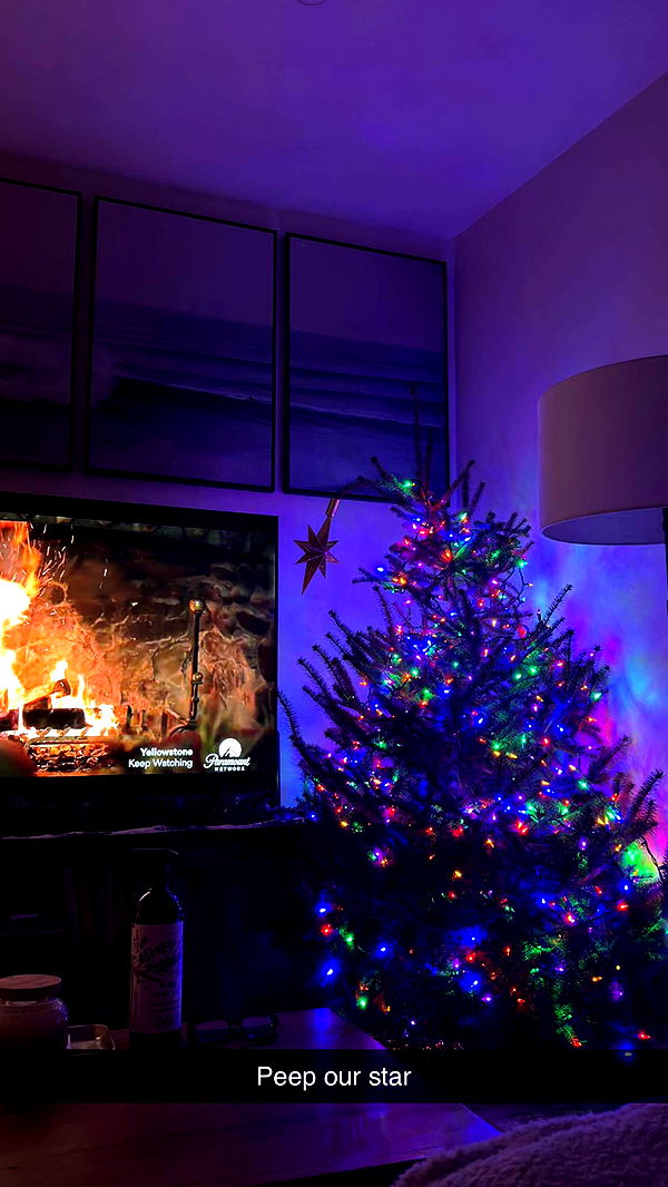 emelye.ender image ~ Altpins