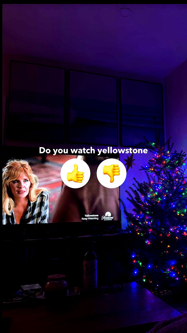 emelye.ender image ~ Altpins