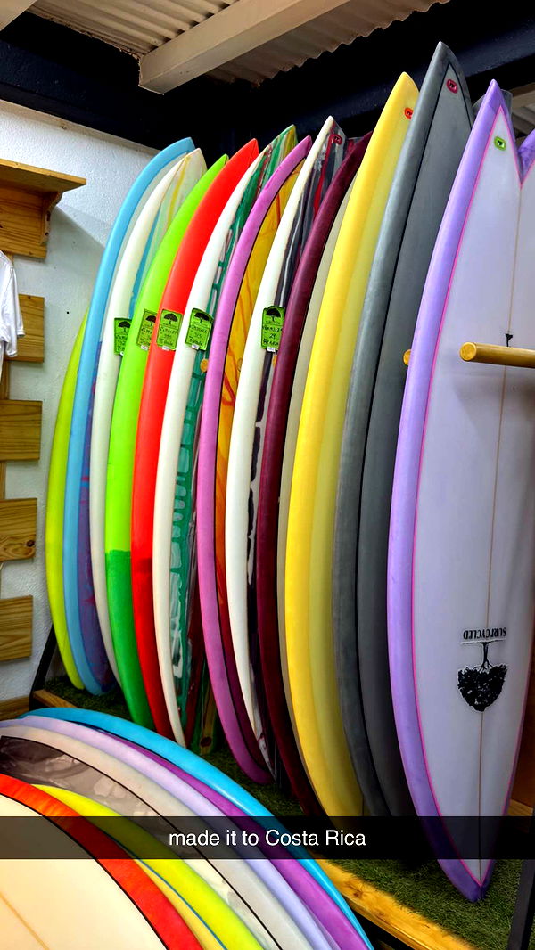 emelye.ender image ~ Altpins