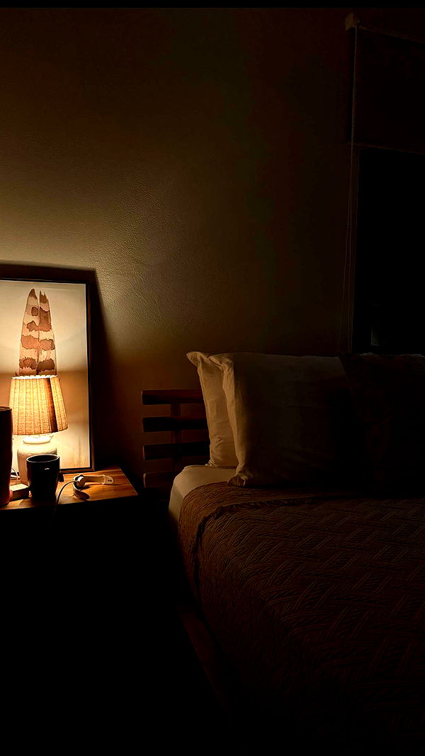 emelye.ender image ~ Altpins