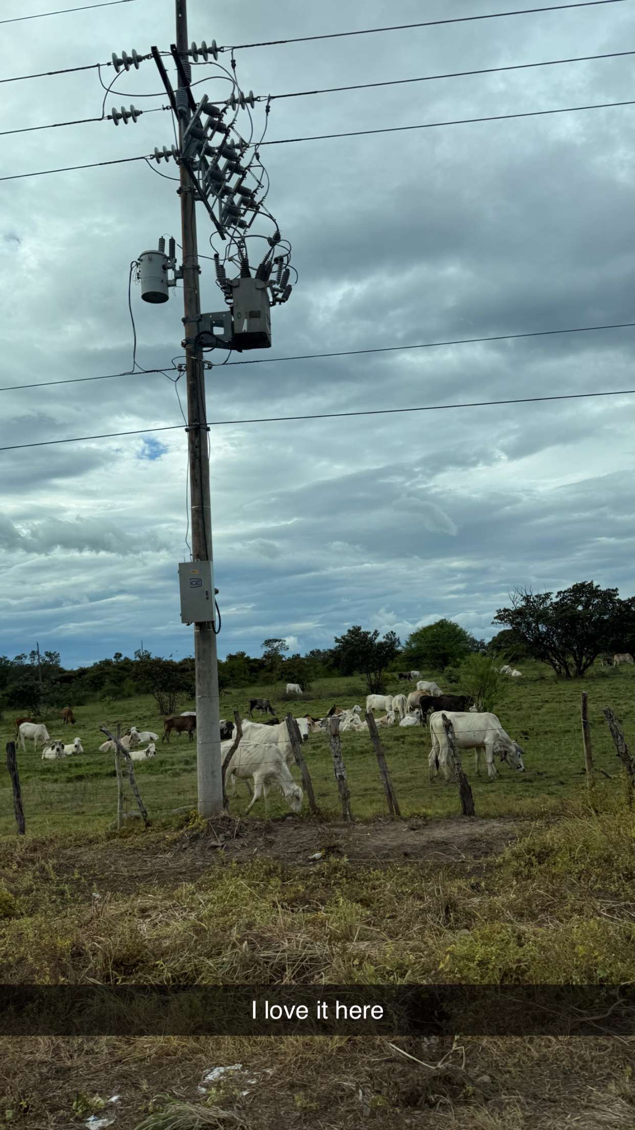 emelye.ender snapchat image archive image