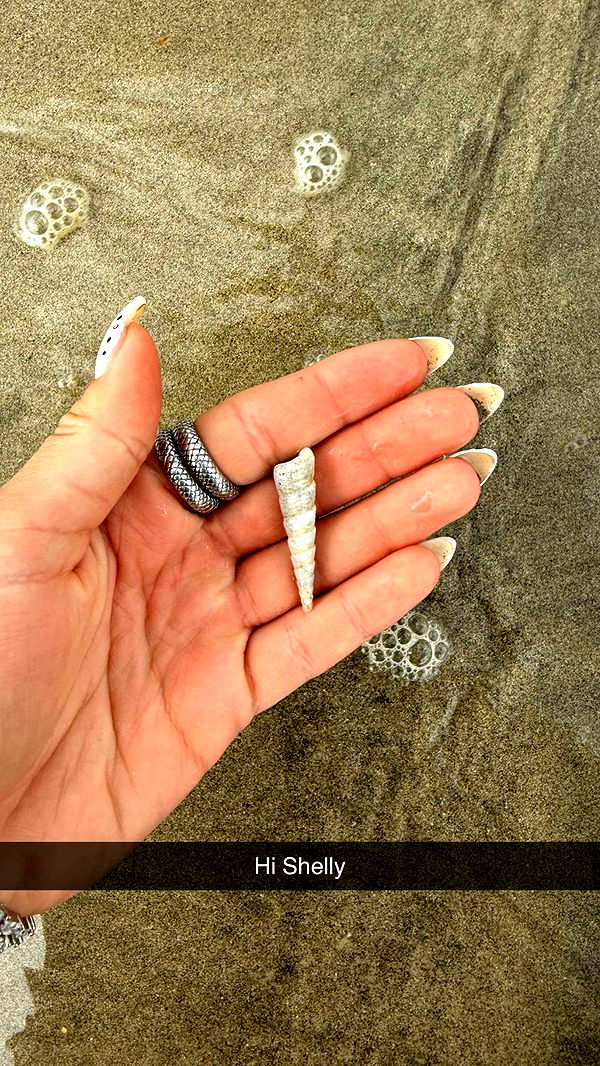 emelye.ender image ~ Altpins