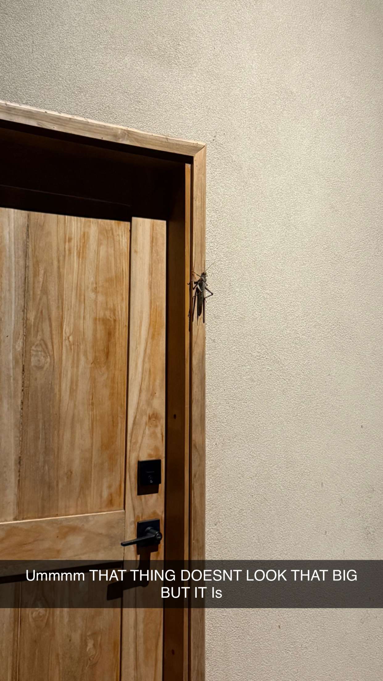 emelye.ender snapchat image archive image