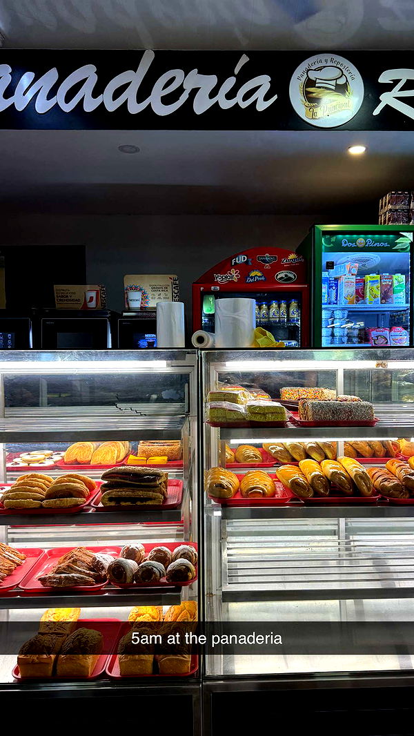 emelye.ender image ~ Altpins