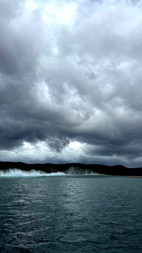 emelye.ender image ~ Altpins