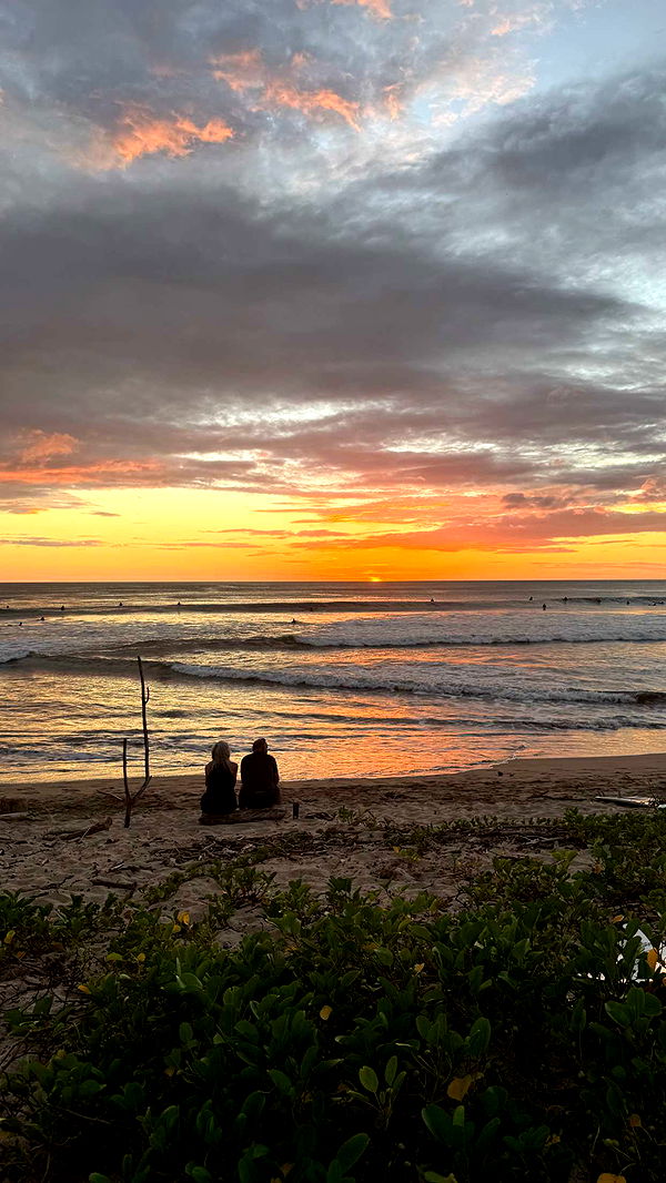 emelye.ender image ~ Altpins