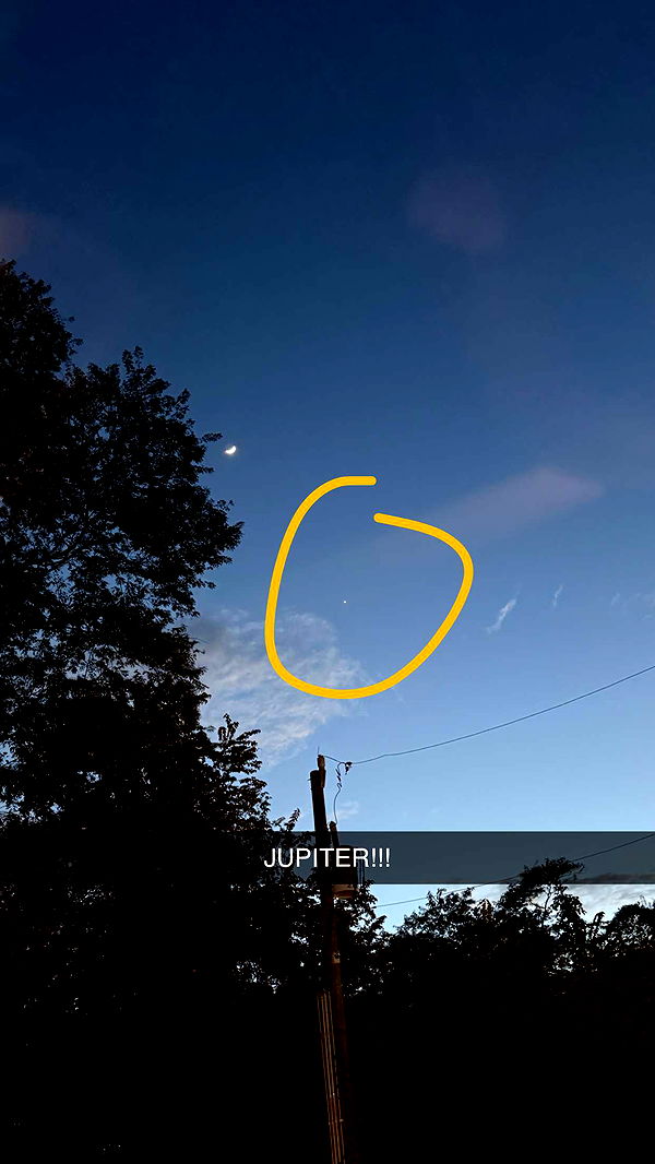 emelye.ender image ~ Altpins