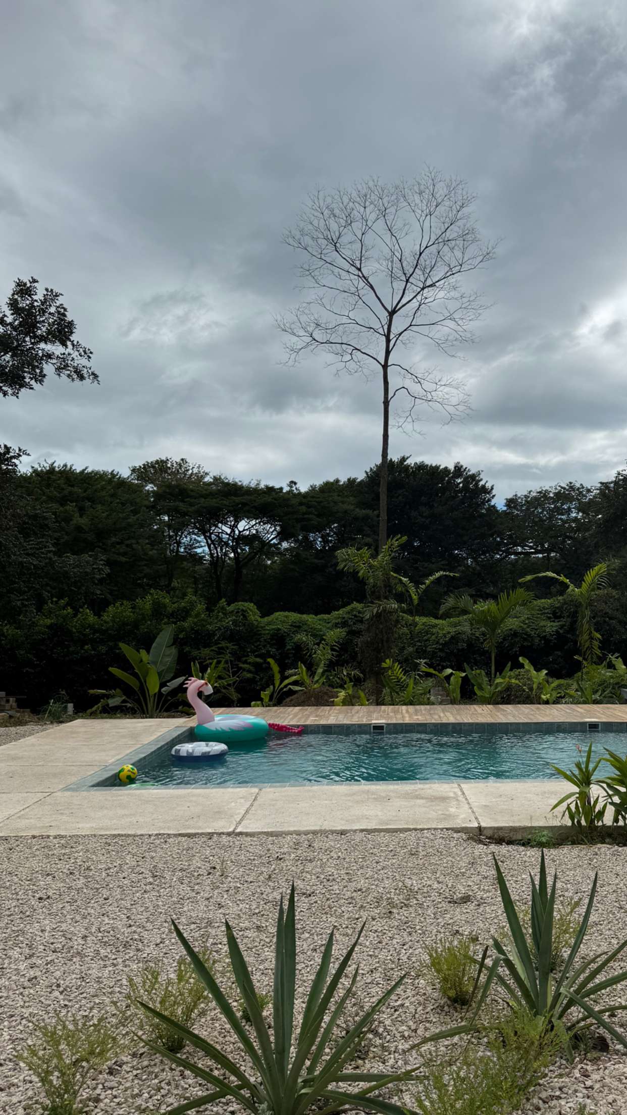 emelye.ender snapchat image archive image