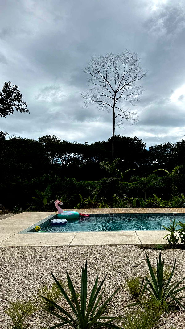 emelye.ender image ~ Altpins