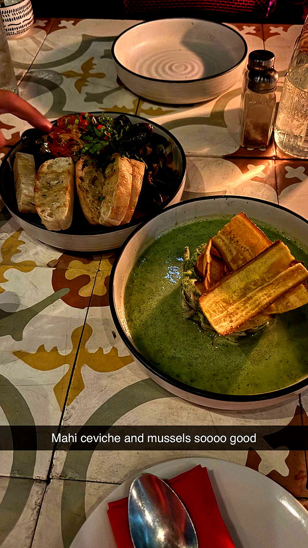 emelye.ender image ~ Altpins