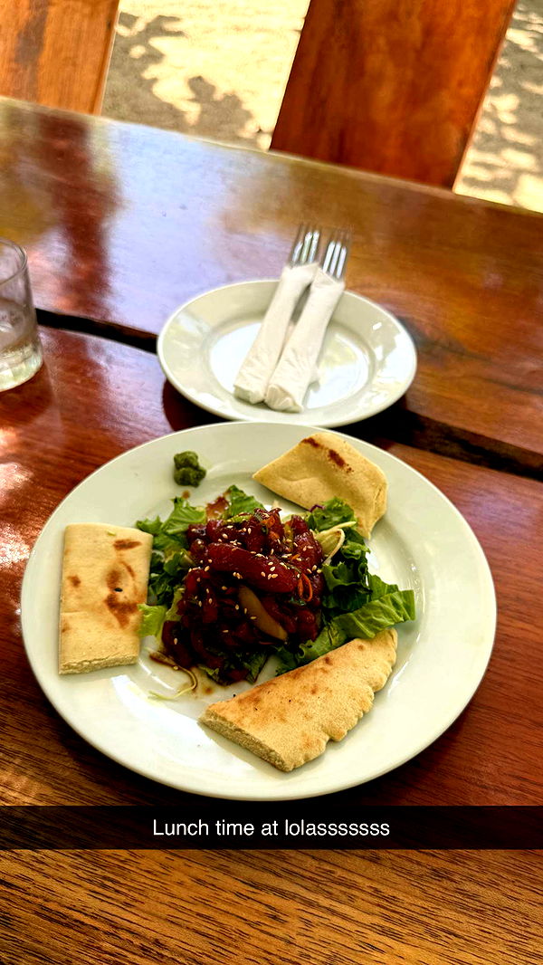 emelye.ender image ~ Altpins