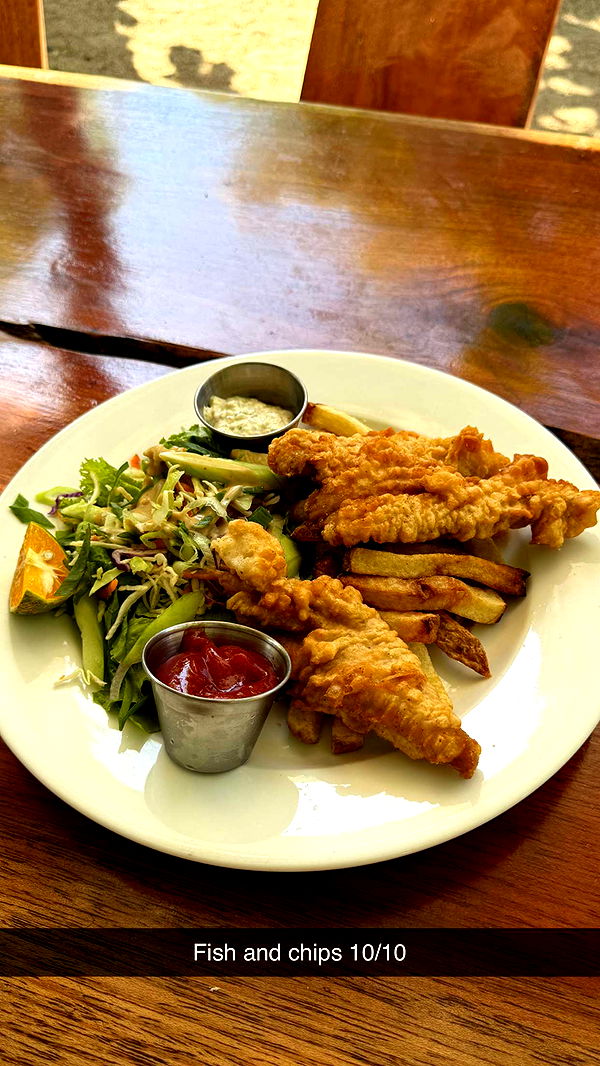 emelye.ender image ~ Altpins