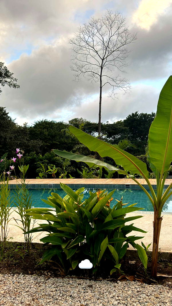 emelye.ender image ~ Altpins