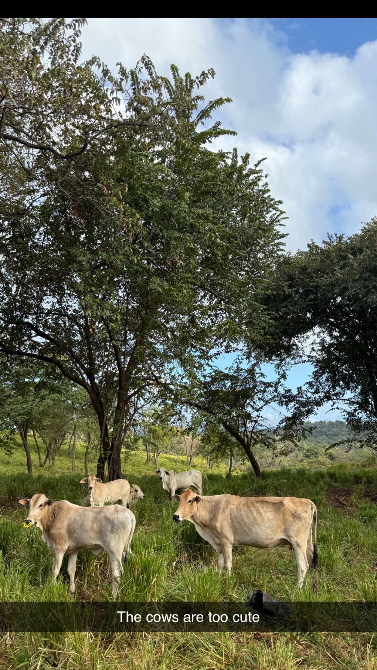 emelye.ender snapchat image archive image