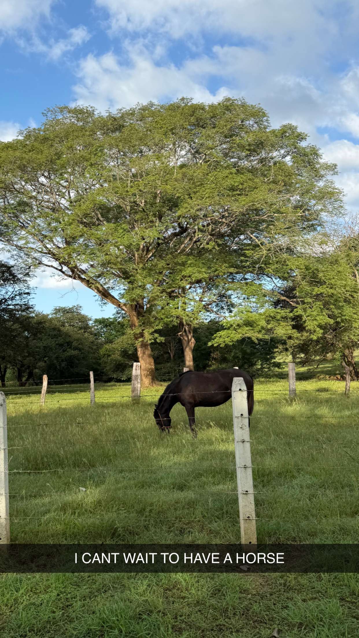 emelye.ender snapchat image archive image