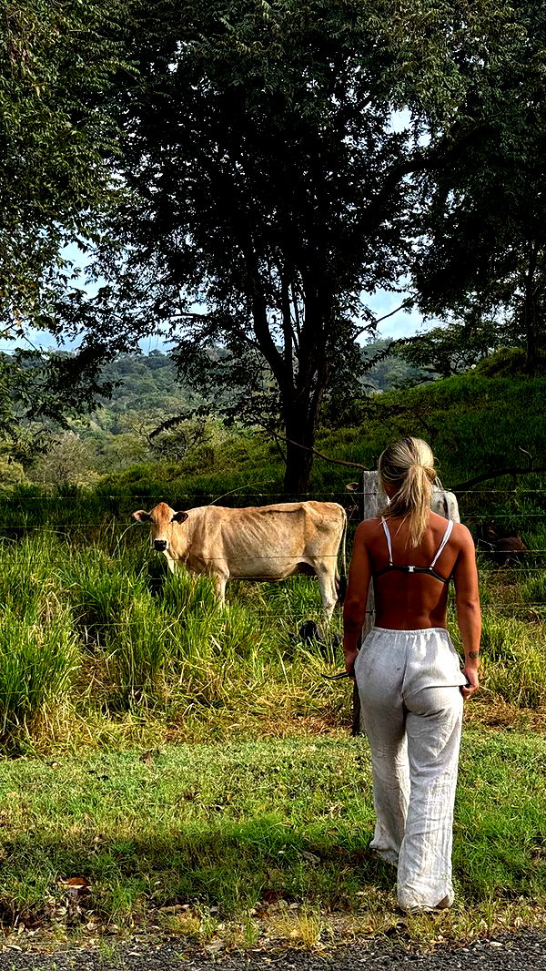 emelye.ender image ~ Altpins