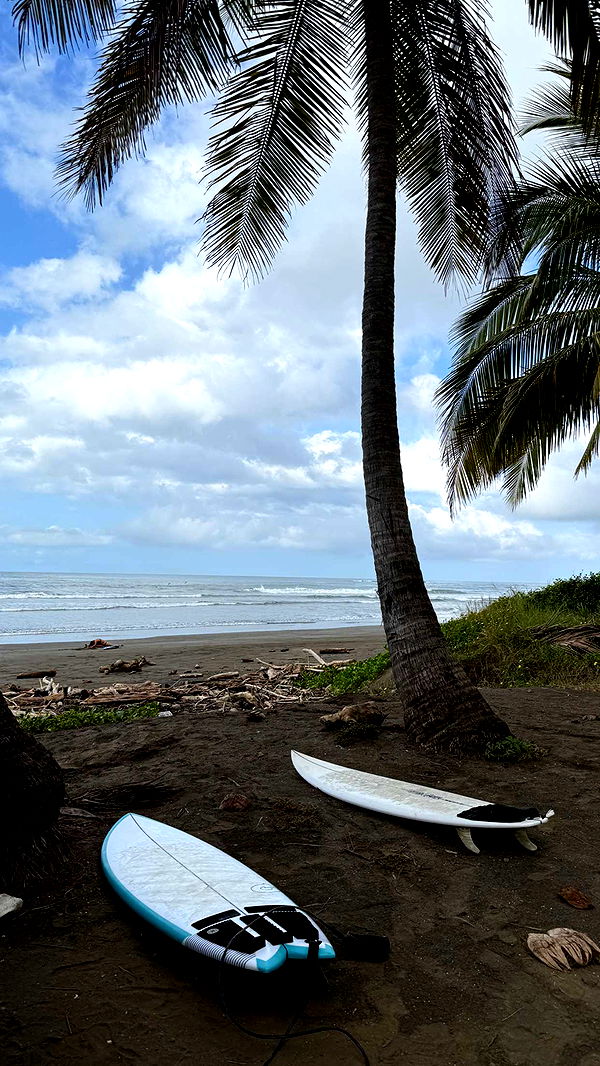 emelye.ender image ~ Altpins