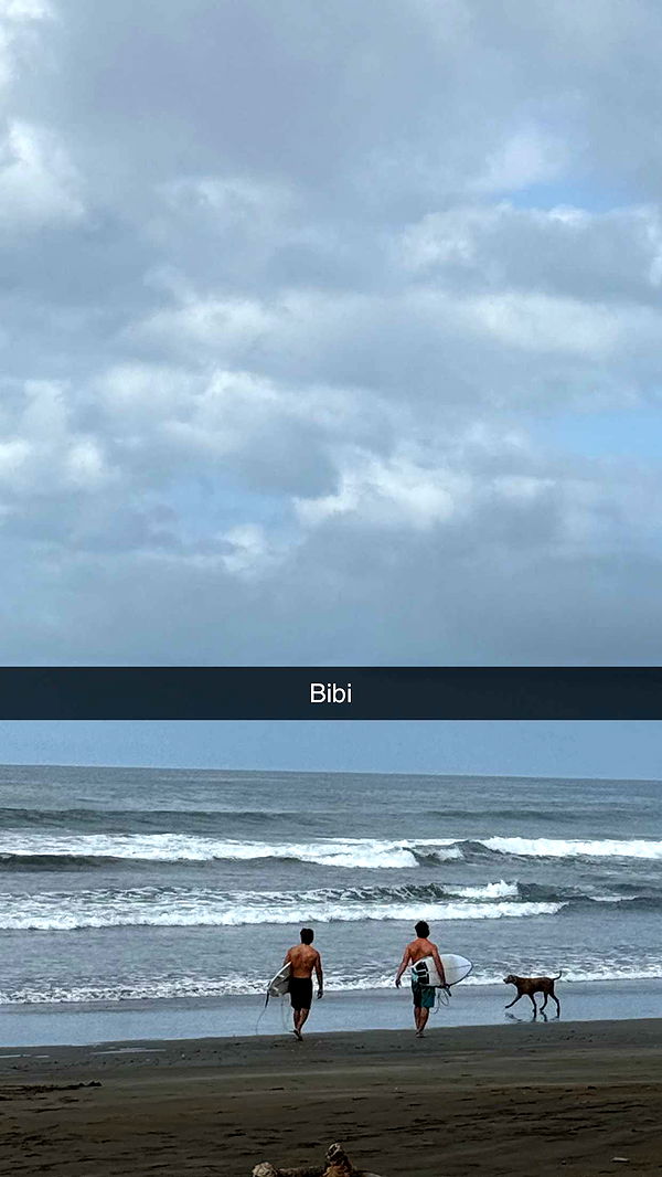 emelye.ender image ~ Altpins