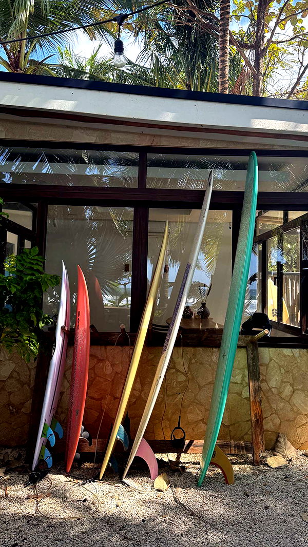 emelye.ender image ~ Altpins