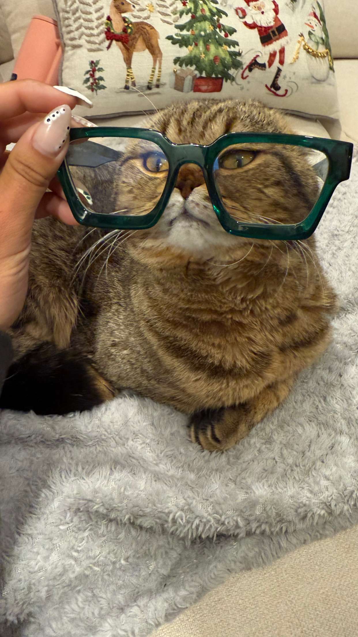 emelye.ender snapchat image archive image