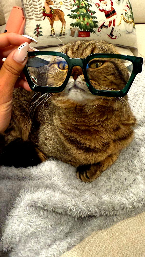 emelye.ender image ~ Altpins