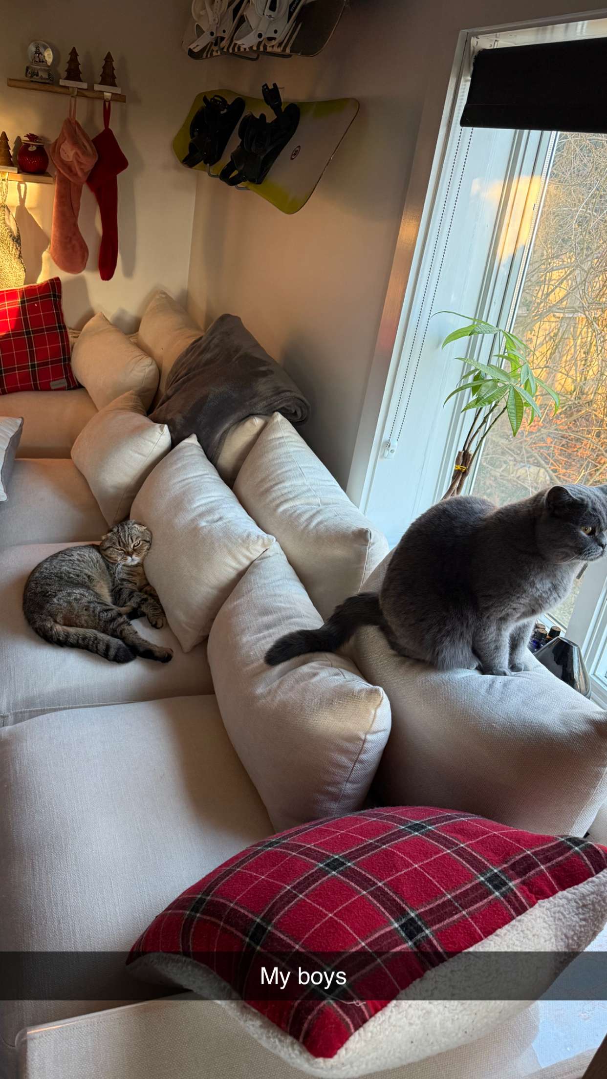 emelye.ender snapchat image archive image