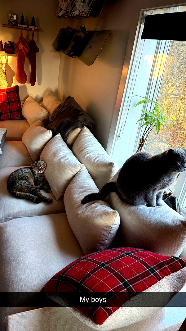 emelye.ender image ~ Altpins