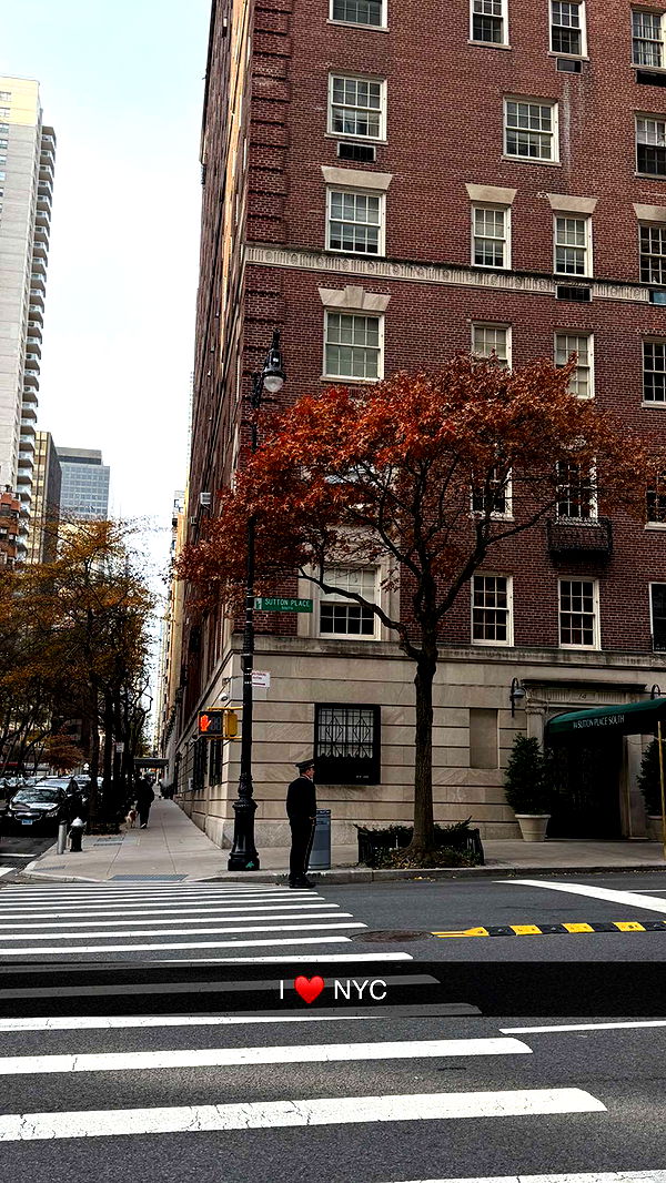 emelye.ender image ~ Altpins