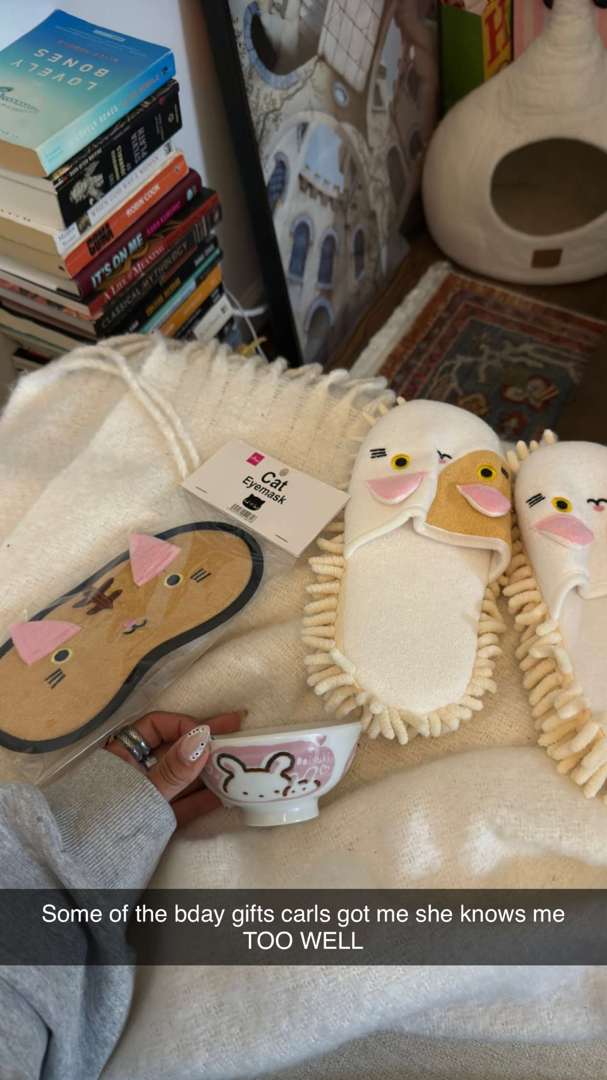 emelye.ender snapchat image archive image