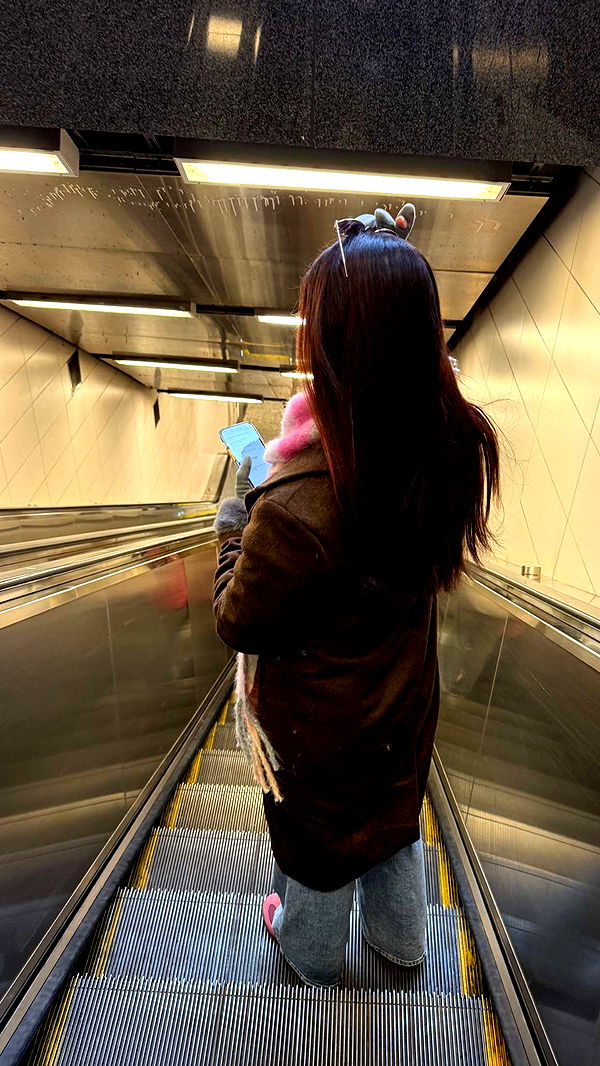 emelye.ender image ~ Altpins