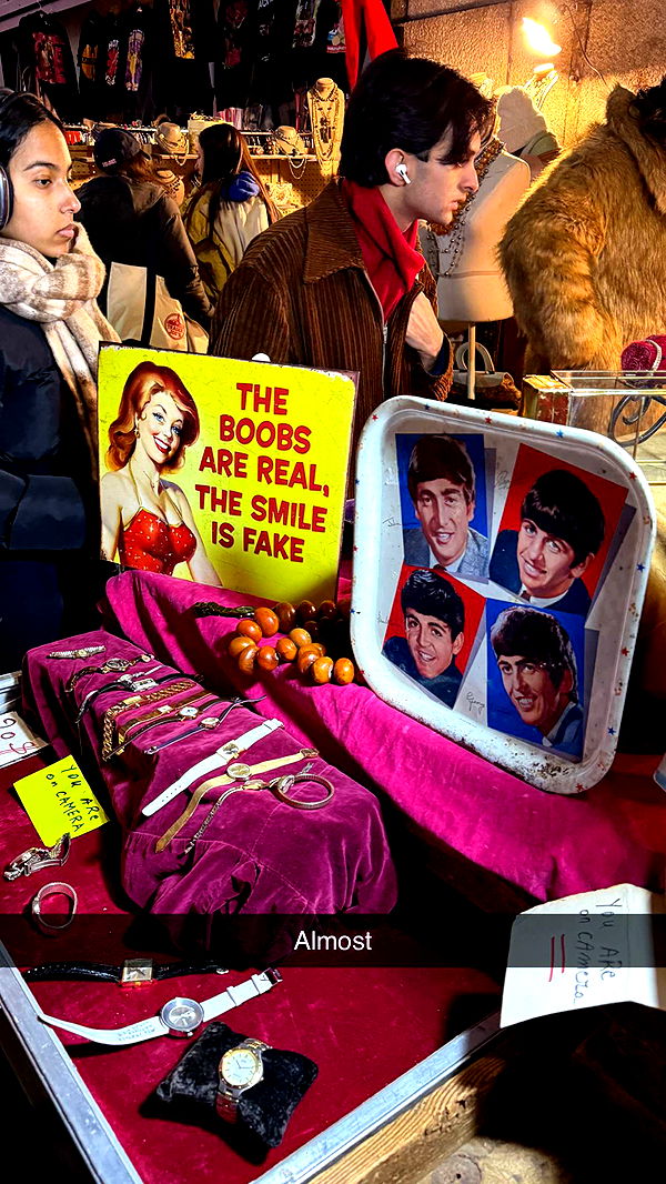 emelye.ender image ~ Altpins