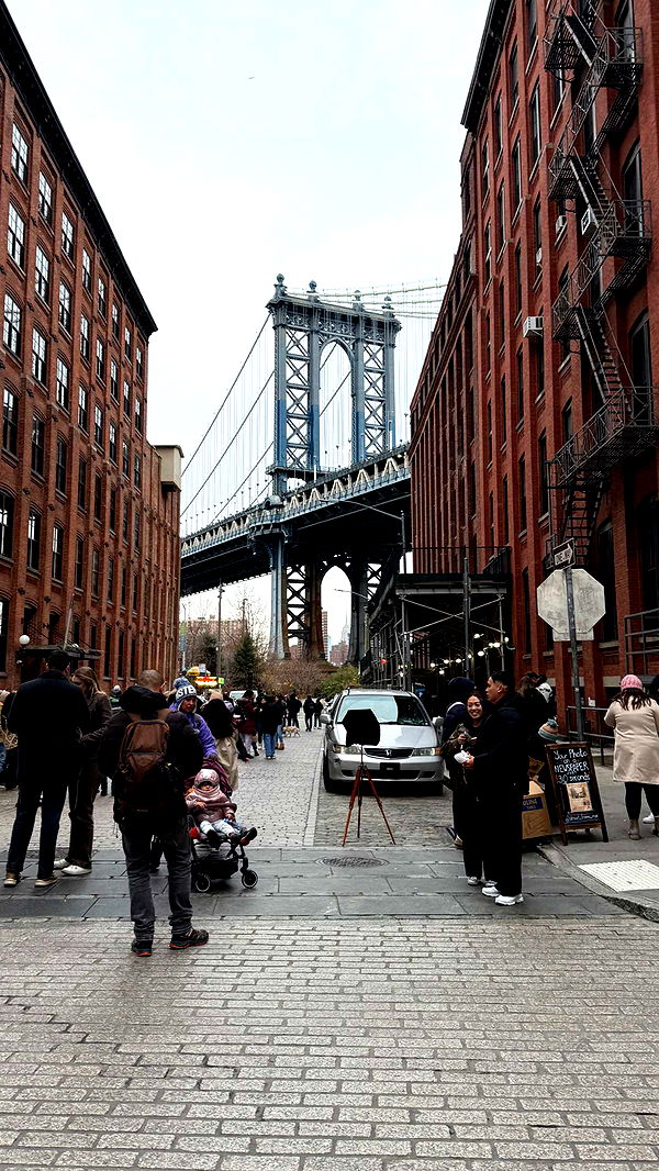 emelye.ender image ~ Altpins