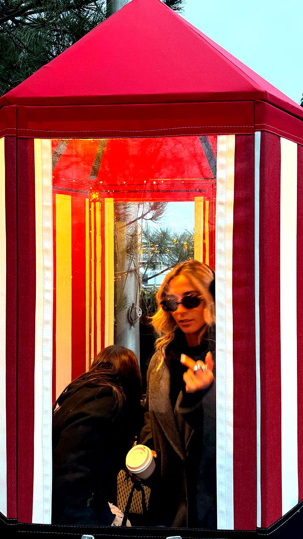 emelye.ender image ~ Altpins