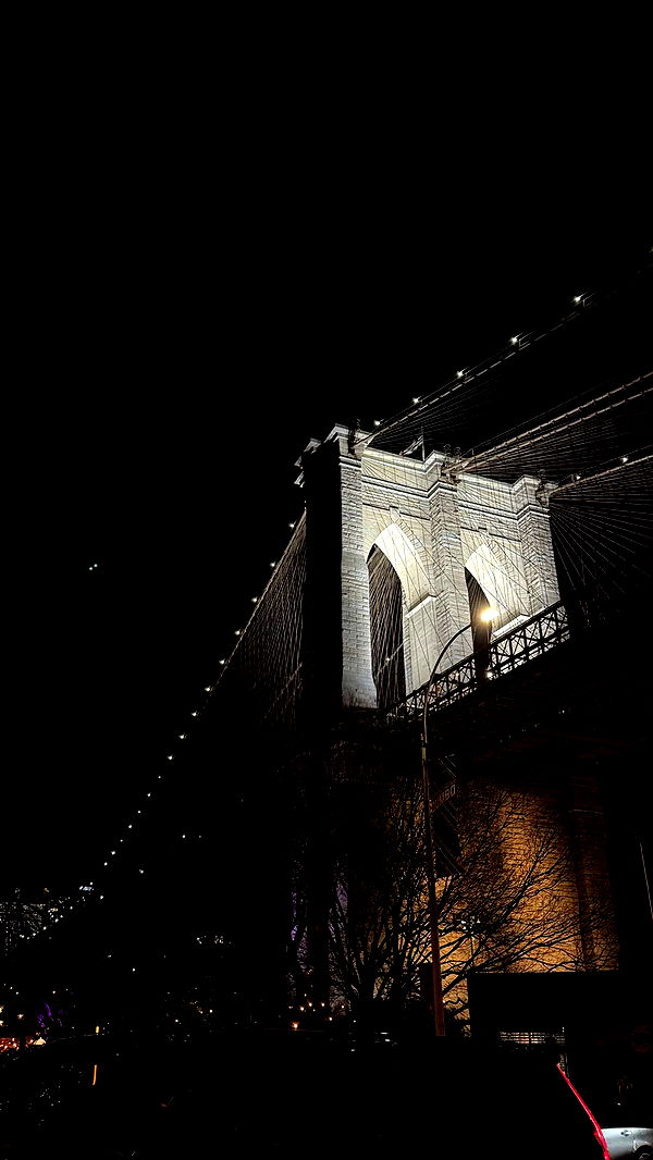 emelye.ender image ~ Altpins