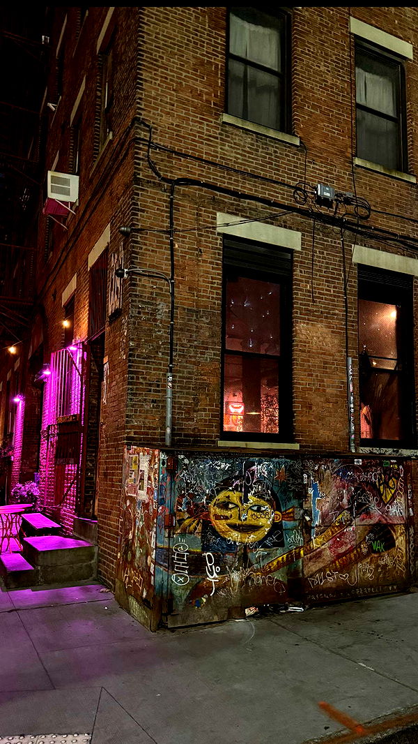 emelye.ender image ~ Altpins