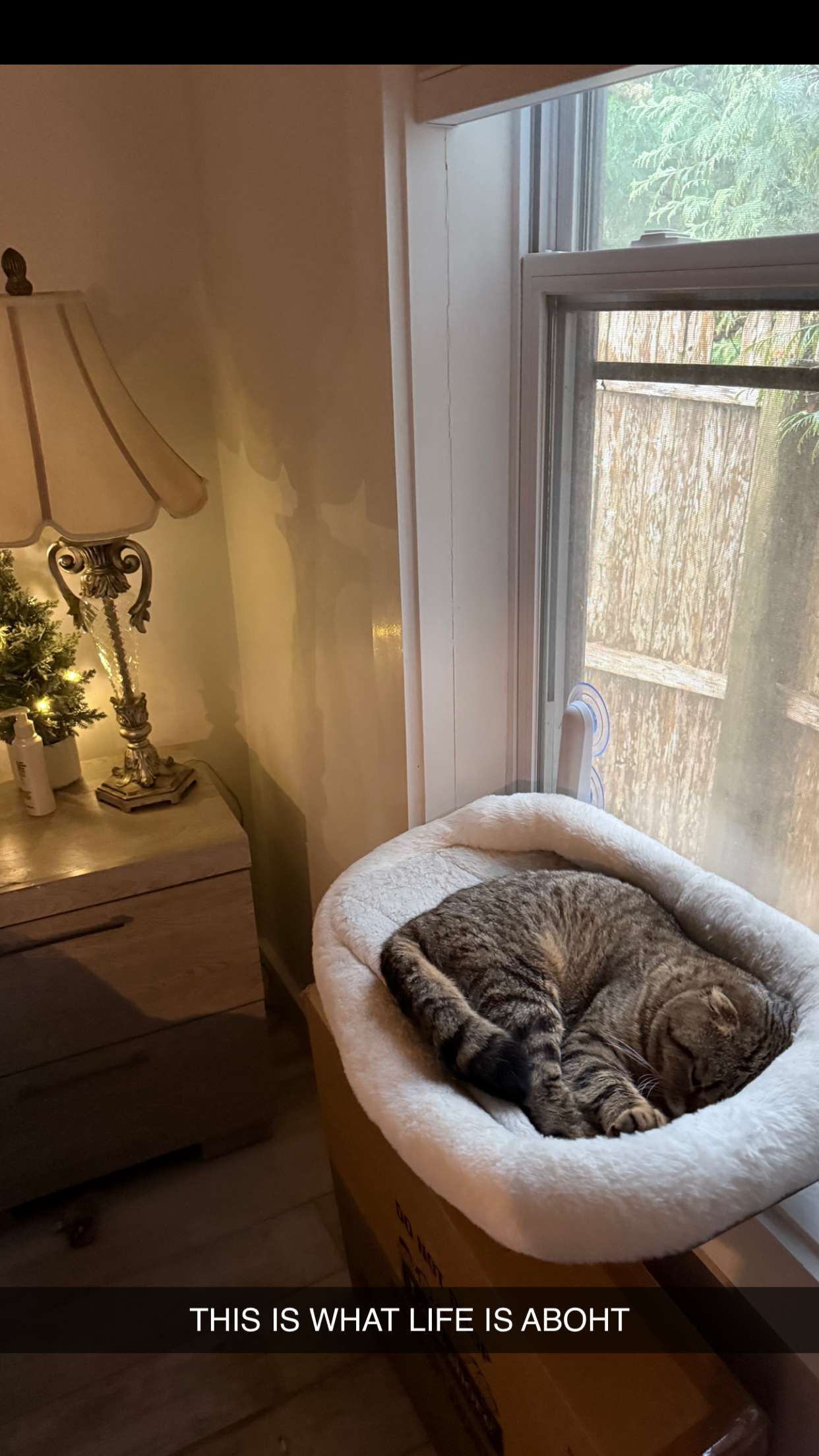 emelye.ender snapchat image archive image