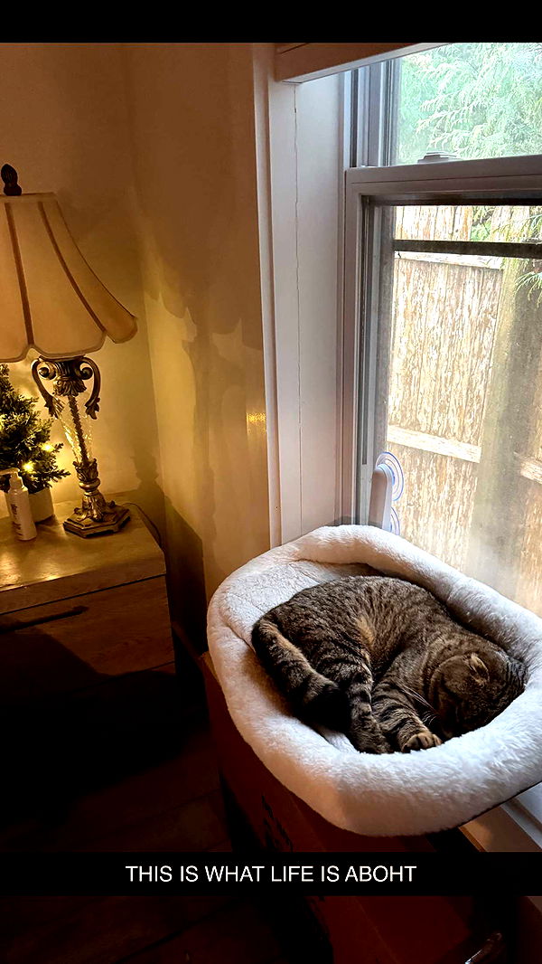 emelye.ender image ~ Altpins