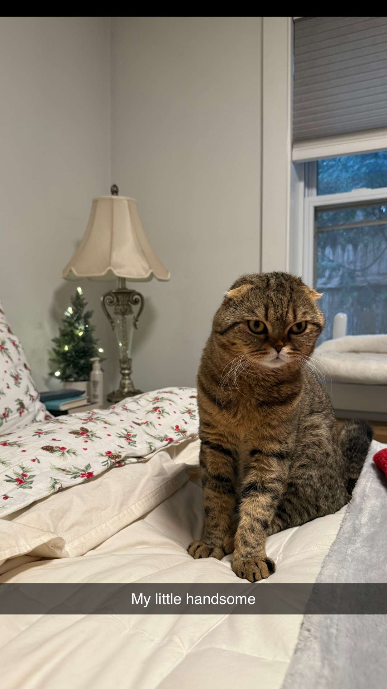 emelye.ender snapchat image archive image