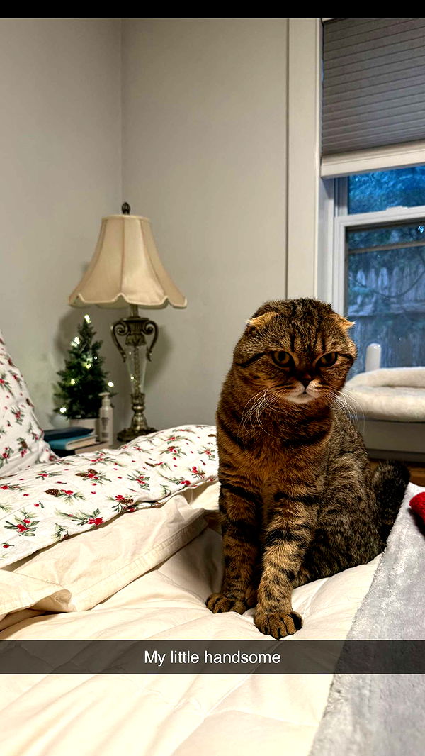 emelye.ender image ~ Altpins