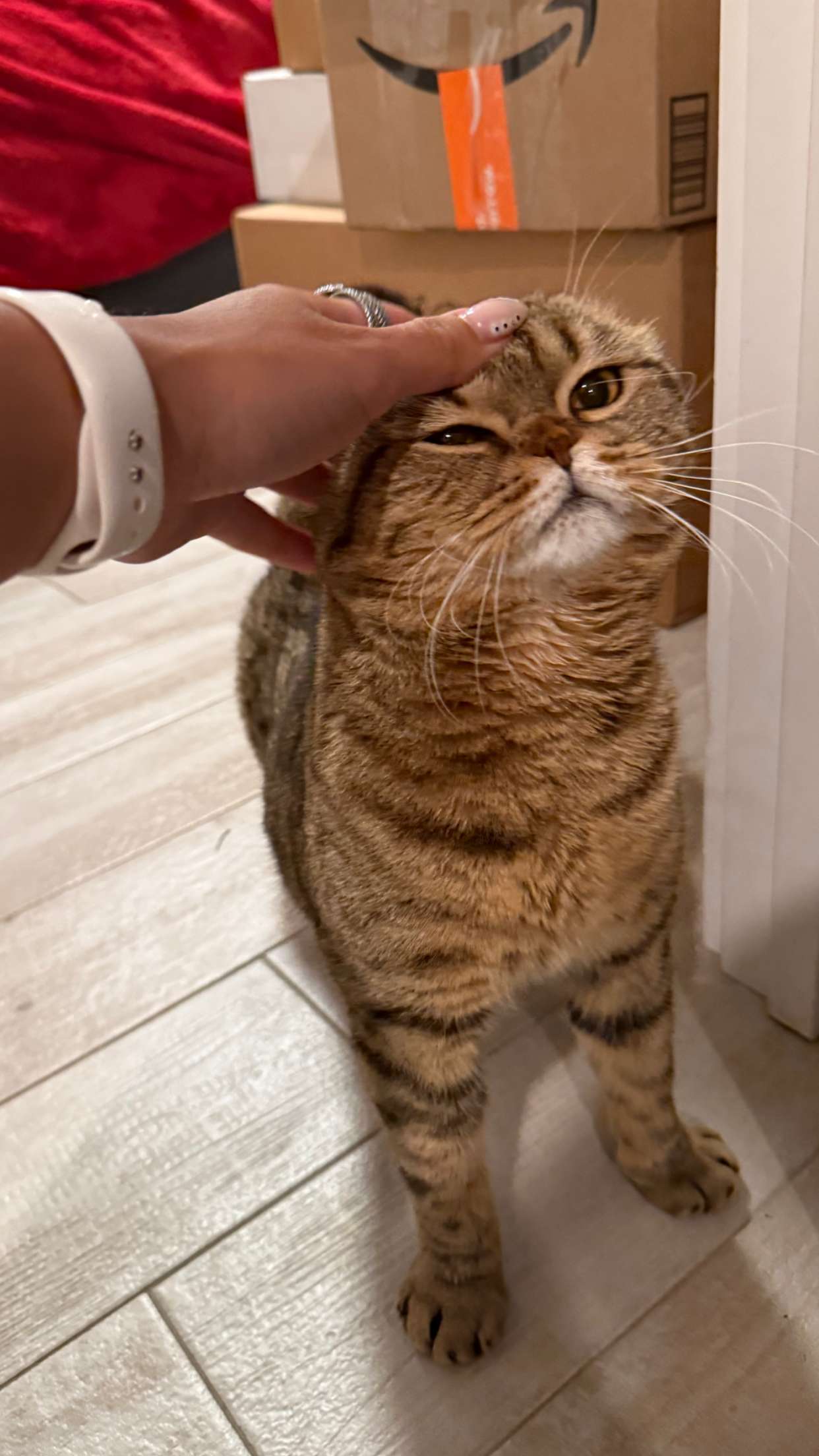 emelye.ender snapchat image archive image