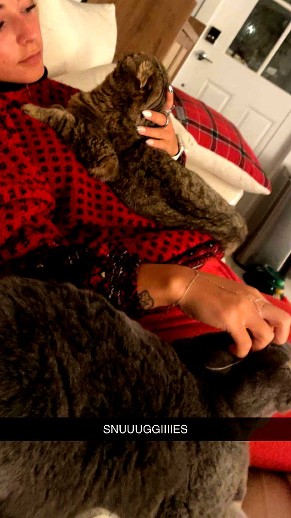 emelye.ender image ~ Altpins