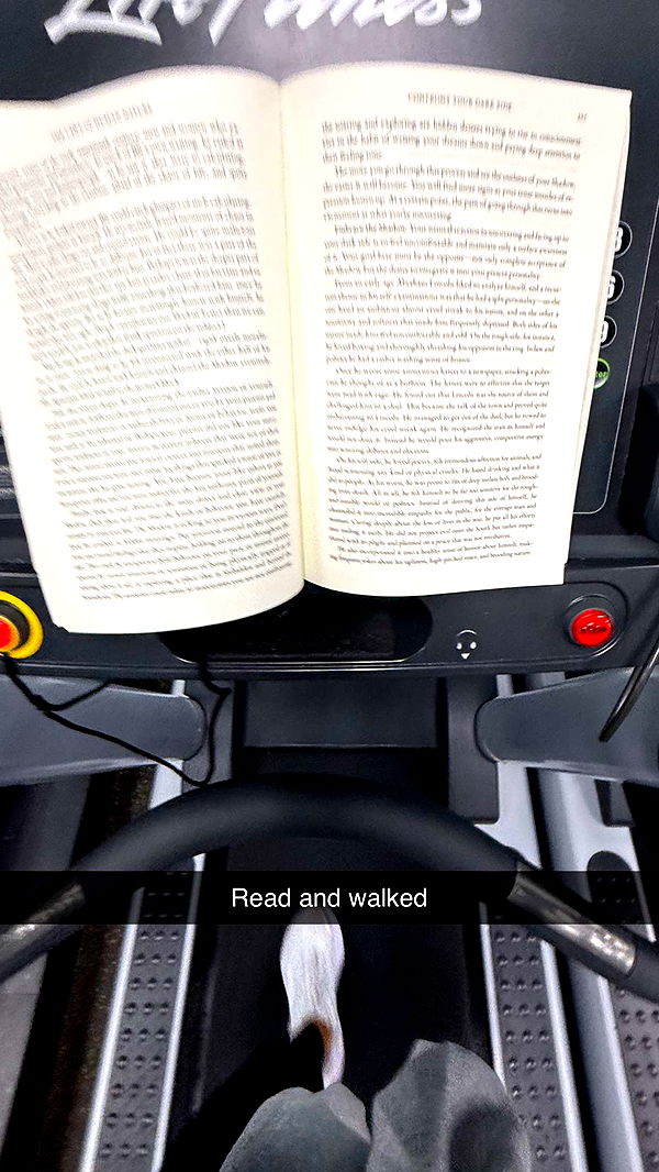 emelye.ender image ~ Altpins