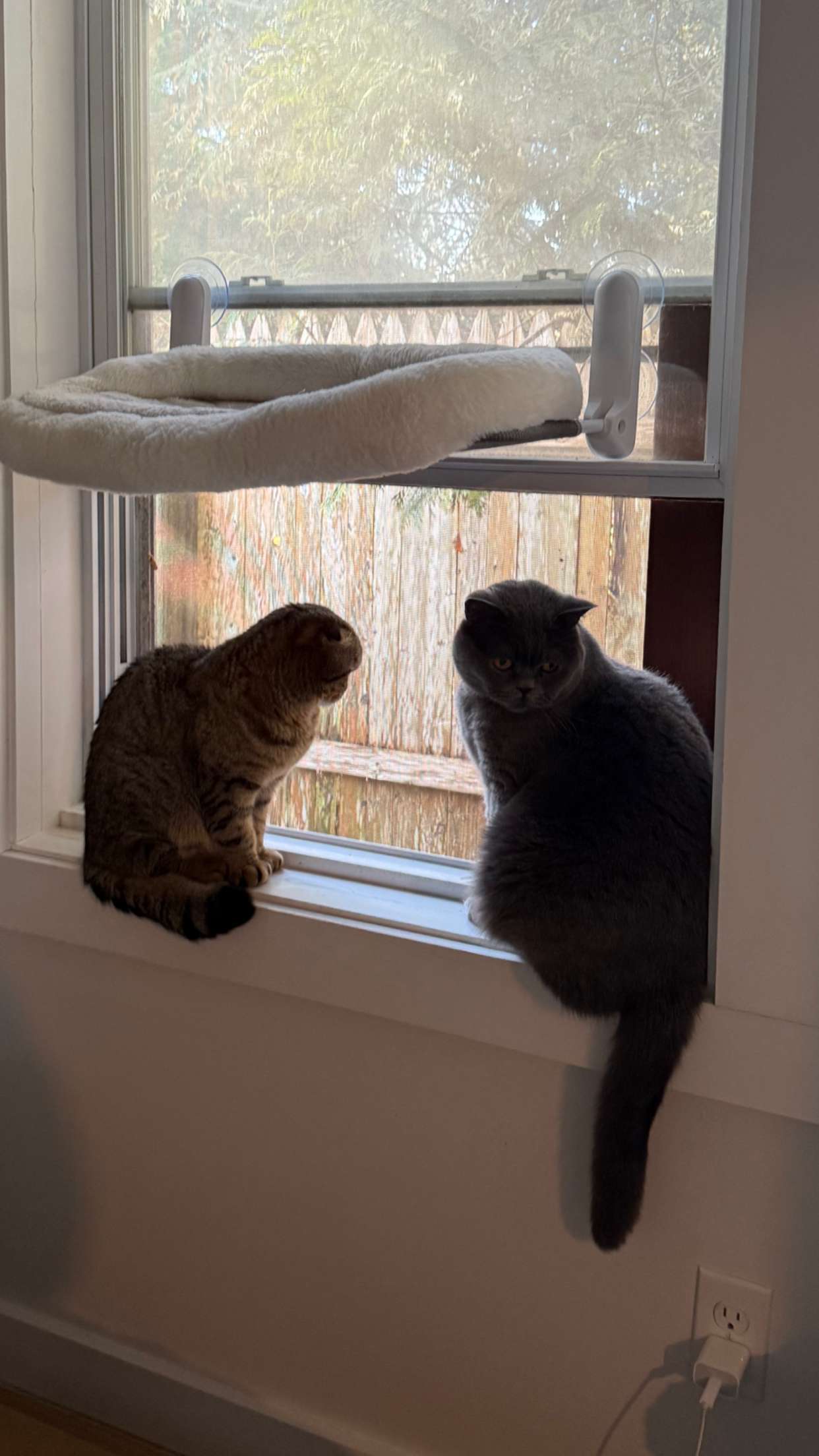 emelye.ender snapchat image archive image