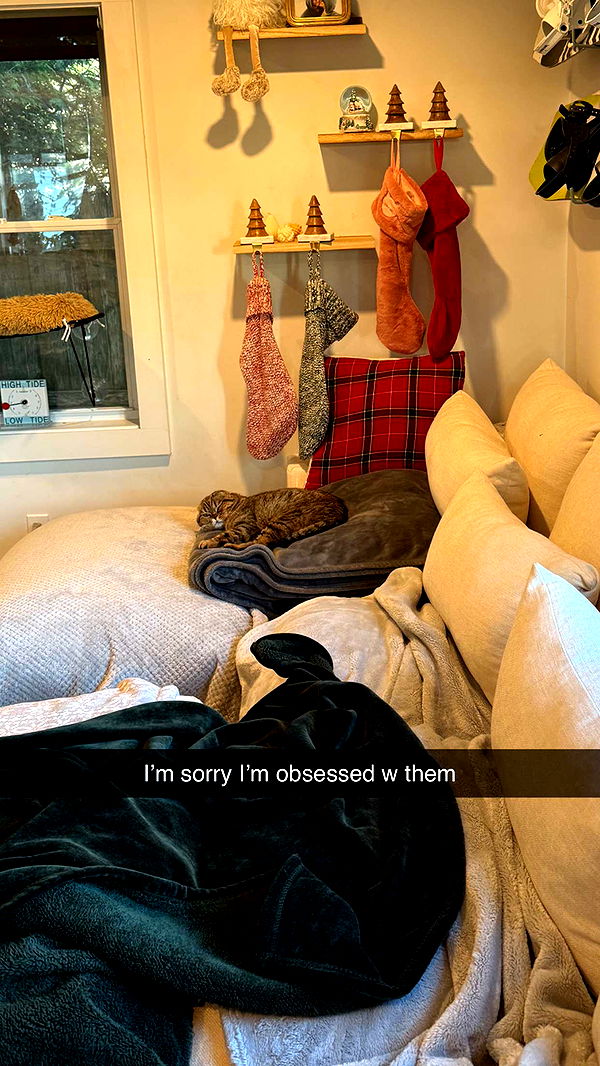 emelye.ender image ~ Altpins