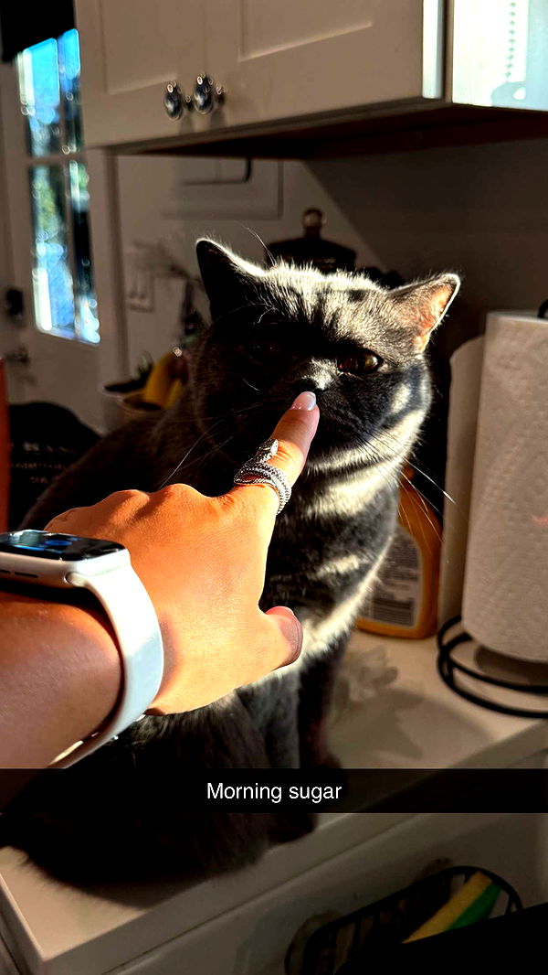 emelye.ender image ~ Altpins