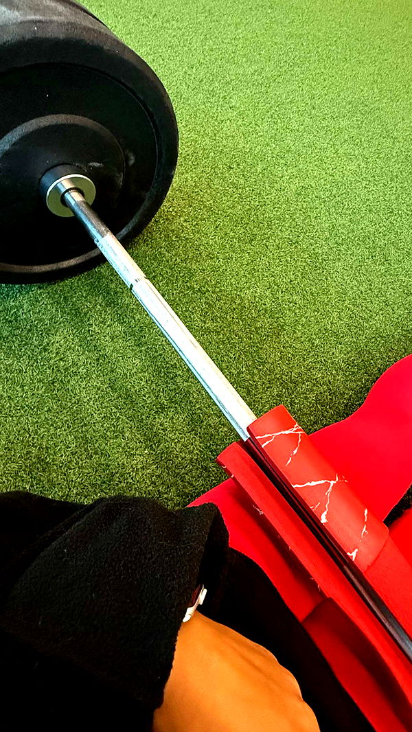 emelye.ender image ~ Altpins